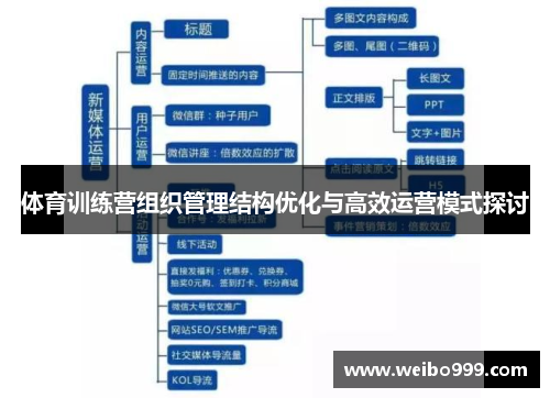 体育训练营组织管理结构优化与高效运营模式探讨